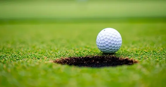 How to Understand Golf Albatross