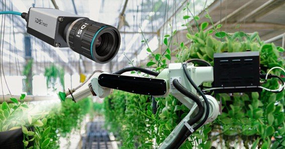 ag cameras